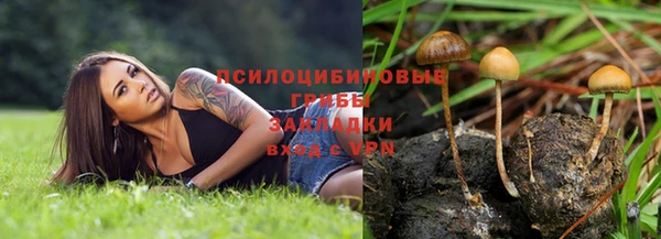 ALPHA PVP Кукмор