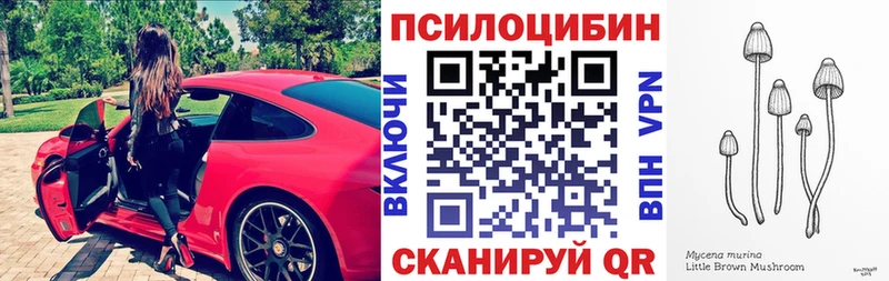 Купить где  Малая Вишера  Галлюциногенные грибы GOLDEN TEACHER 
